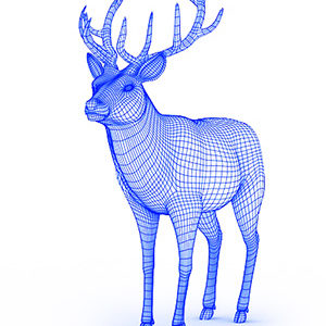 Deer 300 400