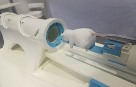 MRI Safety Scan Animals small low size miniature mouse portable