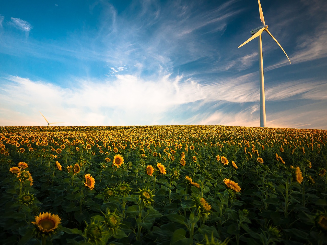 Bridging Agriculture and Sustainable Business, Pegah Ebrahimi, Cademix 