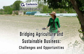 Agriculture and Sustainable Business Article 1