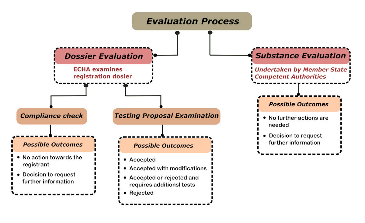 REACH Evaluation process different steps