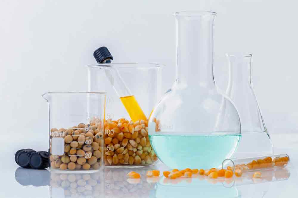 Food Additives in the EU-Photo used in the joint article Zahra Kamali and Maryam Vanaee Cademix Magazine