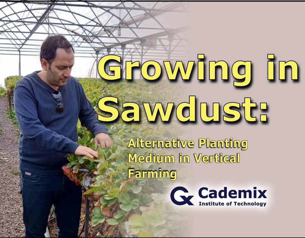 Growing in sawdust. Hossein Nazarian. Cademix Institute of Technology(1)