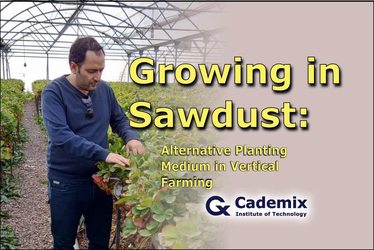 Growing in sawdust. Hossein Nazarian. Cademix Institute of Technology
