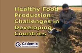 Healthy Food Production Hossein Nazarian Cademix Magazine