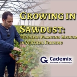 Hossein Nazarian Growing in Sawdust Cademix Magazine Article