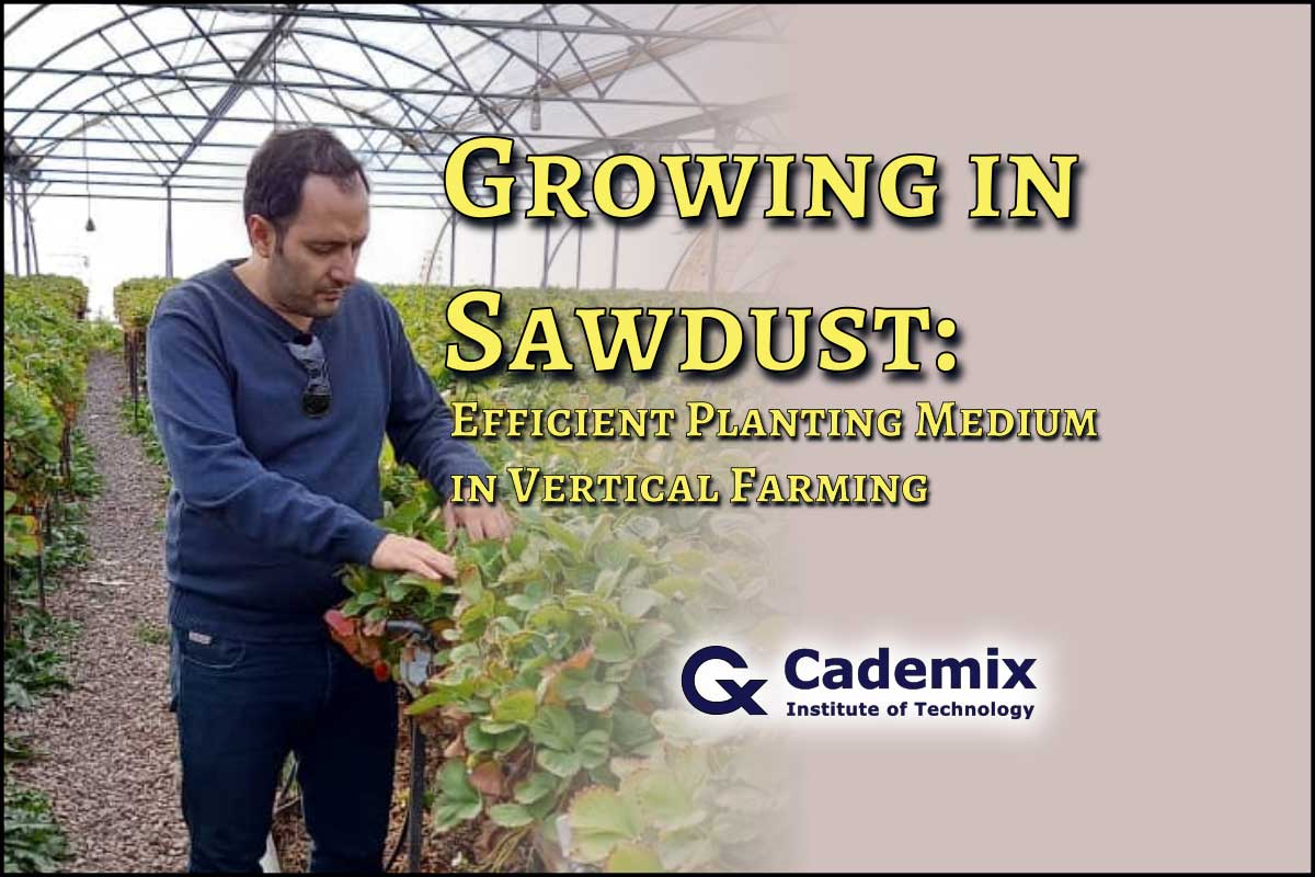 Hossein Nazarian Growing in Sawdust Cademix Magazine Article