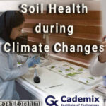 Soil Health during Climate Changes
