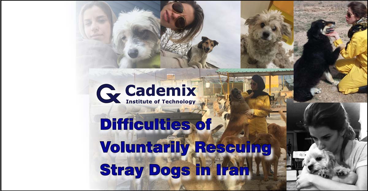 Samareh-Ghaem-Maghami-Cademix-Magazine-Article-Difficulties-of-Voluntarily-Rescuing-Stray-Dogs-in-Iran