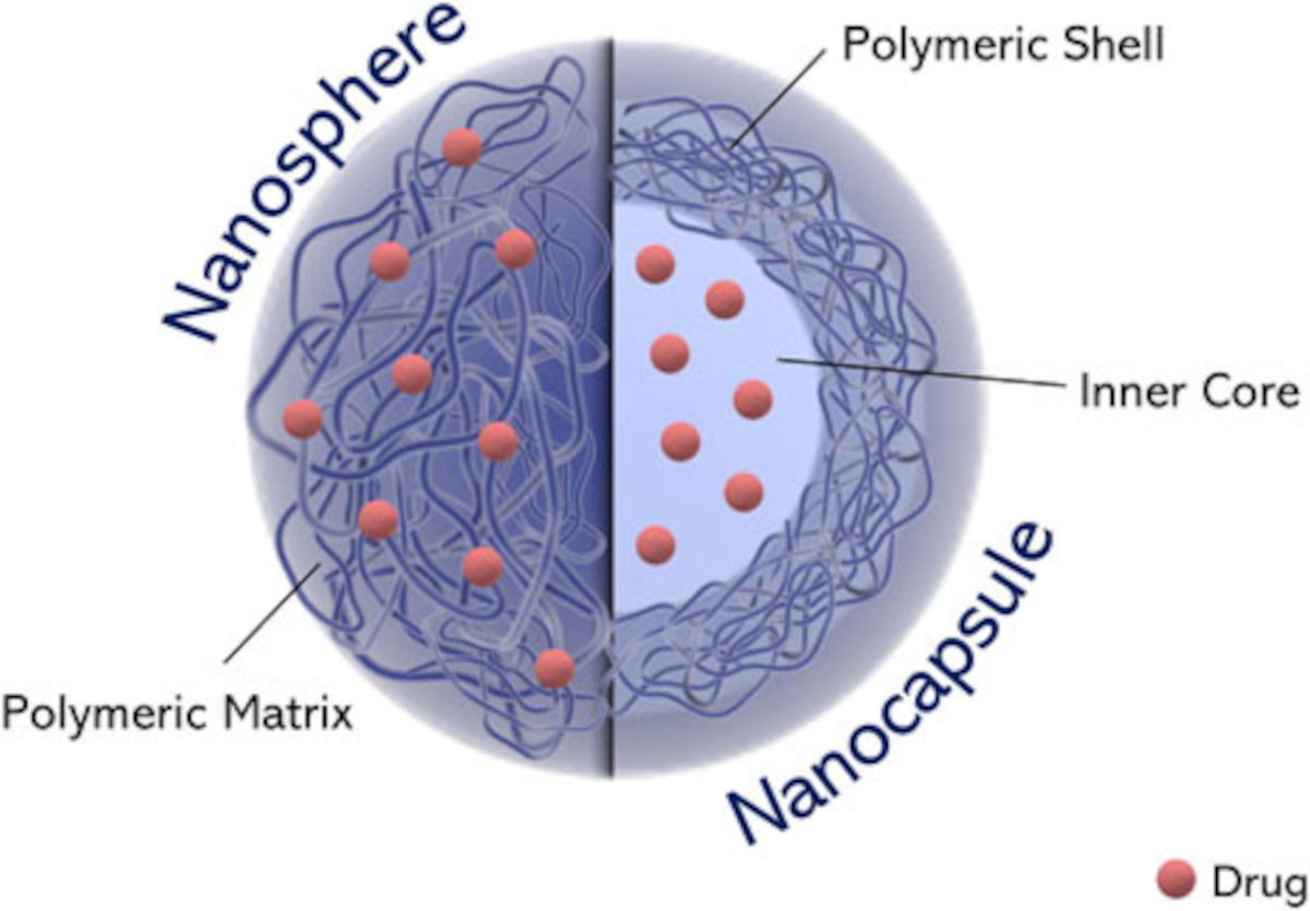 Schematic representation of polymeric nanoparticles