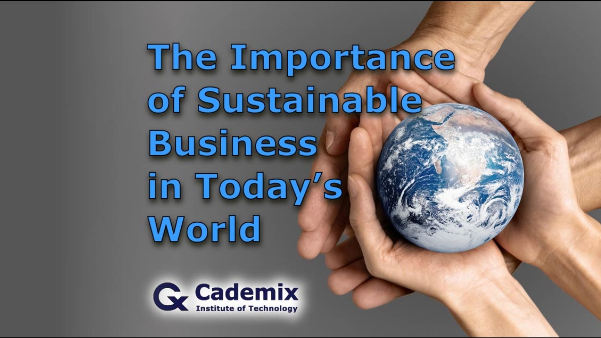 The Importance of Sustainable Business in Today's World