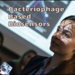 How can bacteriophage-based biosensors identify cancer quickly? Zahra Yousefnia, Yousefniaye Jahromi Zahraalsadat Yousefniayejahromi Article Cademix