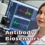 How Can We Enhance The Sensitivity of Antibody Biosensors Zahra Yousefia Yousefniaye Jahromi Zahraalsadat