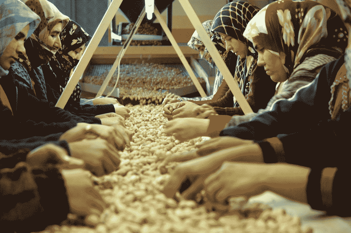 Women Iran working Sustainable development SDG - Personal Experience_ Cademix-Magazine-Article-Zahra-Kamali