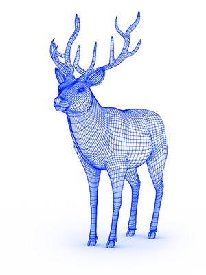 Deer 300 400
