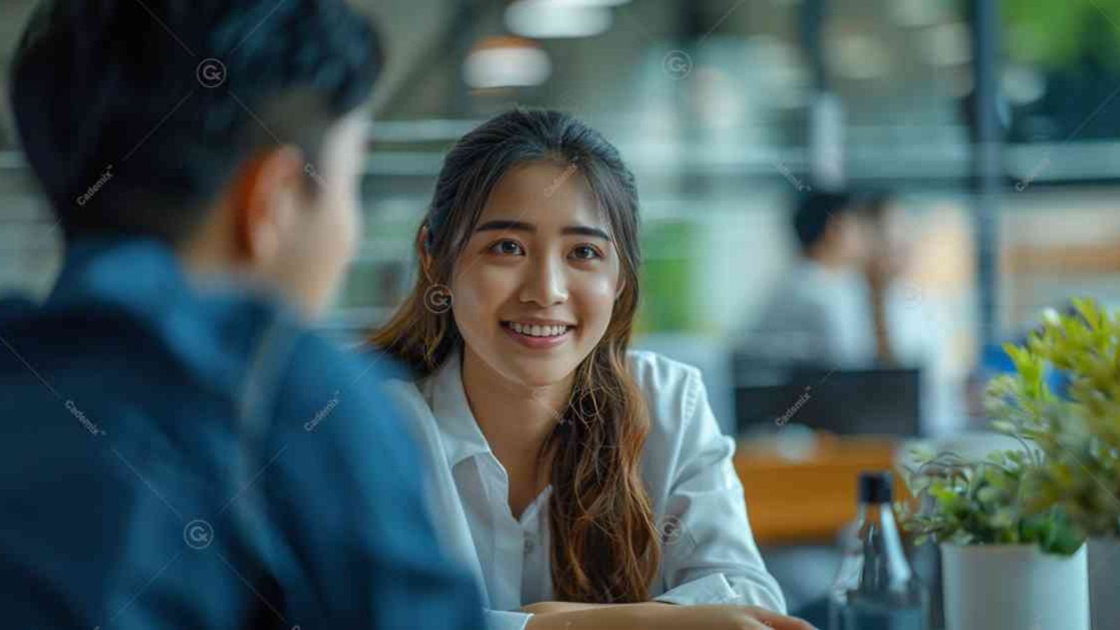acuvue oasys for astigmatism daily