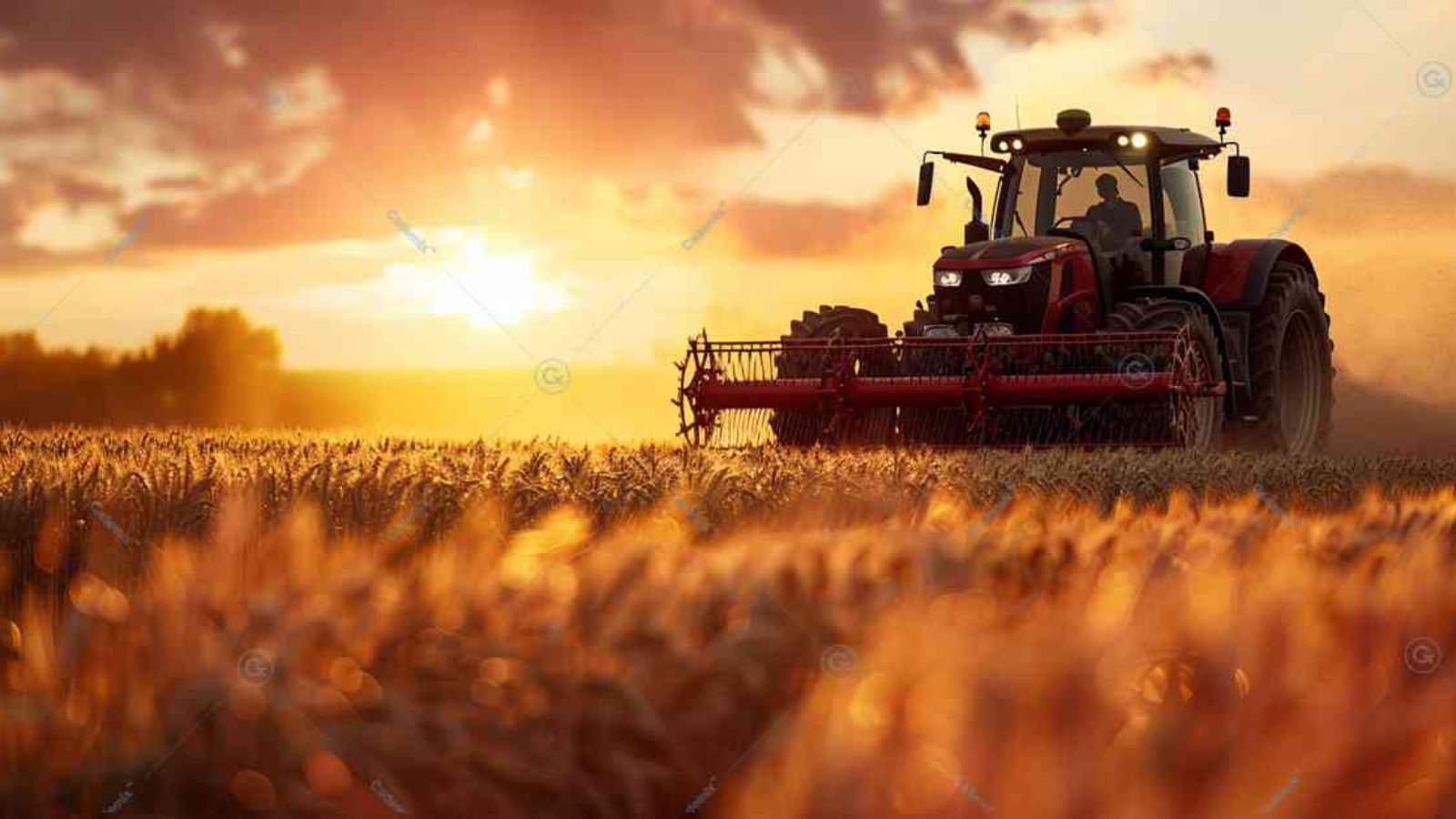 agriculture