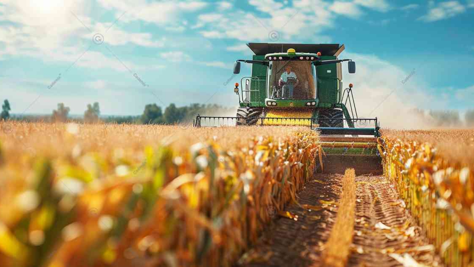 Climate Smart Agriculture, Developing Countries, Third World Farmers, Sustainable Agricultural Practices, Successful Agricultural Initiatives Exploring Farm Jobs Near Me or Far Away: Opportunities for Global Career Growth