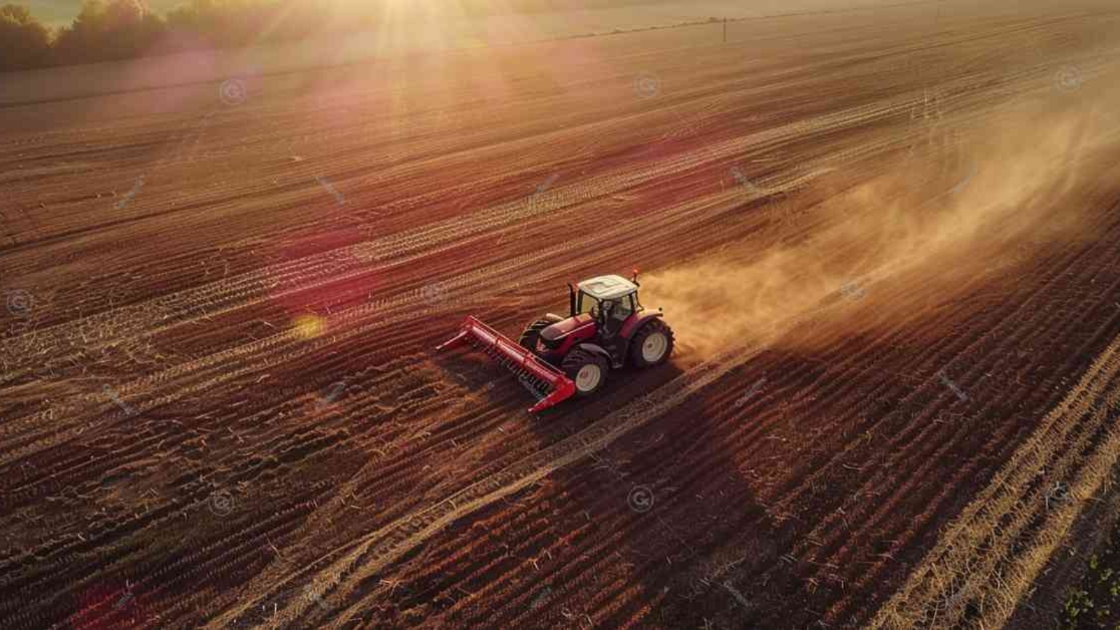 Agriculture Agronomy Farming Land, Buying Farmland