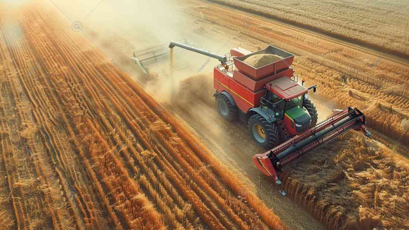 farmland for sale by owner, buying farmland, agricultural real estate, land acquisition, farm property, ag equipment, sustainable agriculture, farm equipment, The agricultural landscape has seen significant transformations over the past few decades, with the rise of big farms playing a pivotal role. These large-scale agricultural enterprises are characterized by extensive landholdings, advanced technology, and substantial financial investment. This article delves into the dynamics of big farms, examining their impact on food production, economic viability, and sustainability, big farm, precision farming system