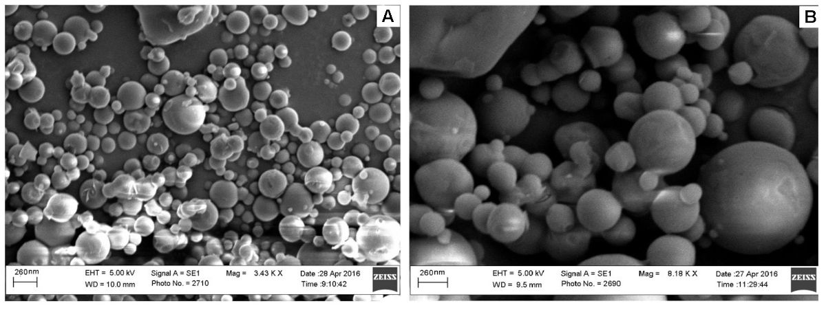 SEM images of (A) plain and (B) coated PLGA Polymeric nanoparticles from article [11] 